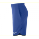 Шорты для мальчиков NIKE (724436-480)