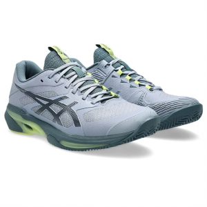 Кроссовки мужские теннисные ASICS GEL-SOLUTION SPEED FF 4 CLAY (1041A533-400)
